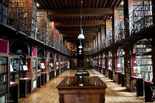 Erfgoedbibliotheek Hendrik conscience, Nottebohmzaal