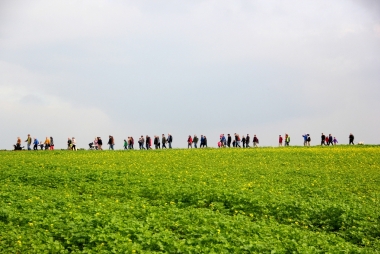 Dag van de Trage Weg 2019