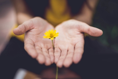 Handen houden een bloem vast. Foto: Lina Trochez via Unsplash