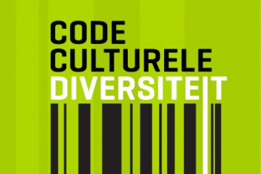 Code culturele diversiteit
