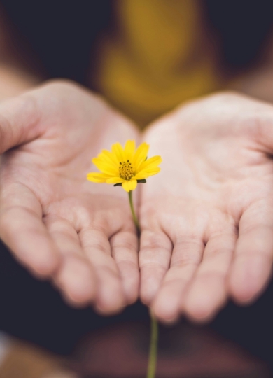 Handen houden een bloem vast. Foto: Lina Trochez via Unsplash