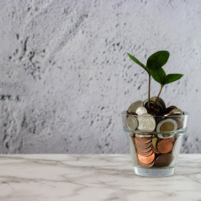 Plant in een glas met geld. Foto: micheile dot com via Unsplash