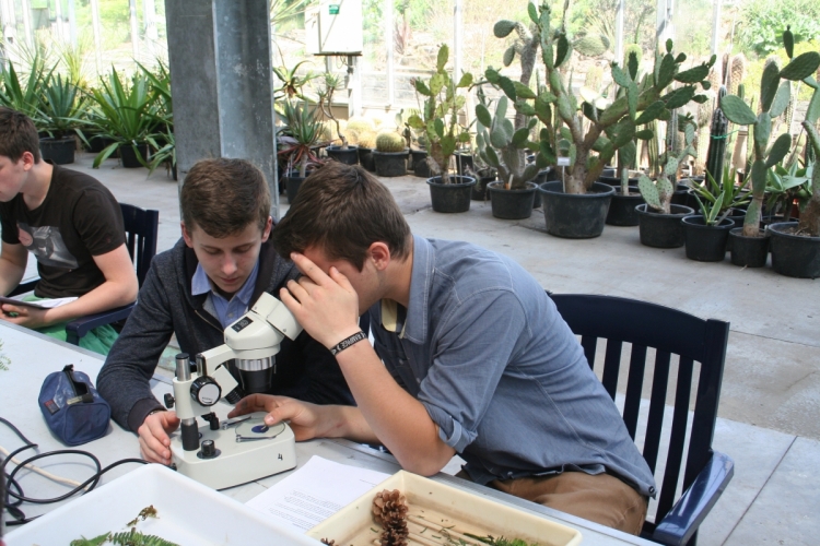 microscopen maken op Erfgoeddag (c) Plantentuin Universiteit Gent