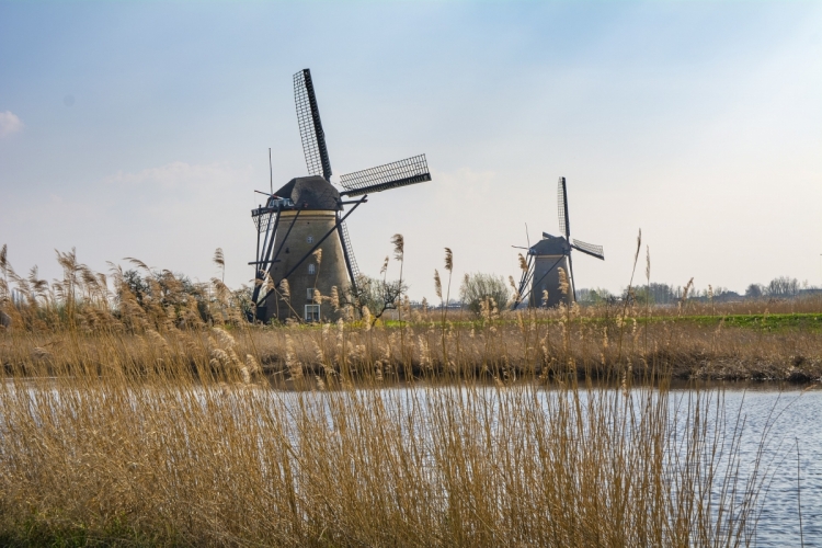 Kinderdijk: molens in Holland. Foto: Valdas Miskinis via Pixabay