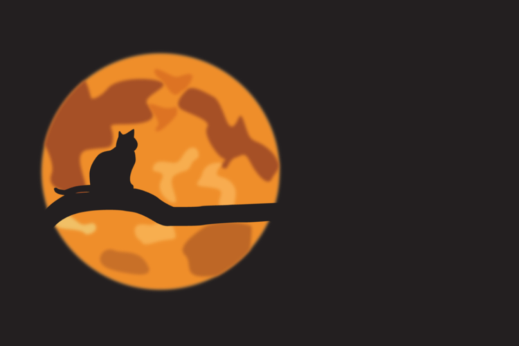 Zwarte kat, maanlicht. Beeld: Hue Pham via Pixabay