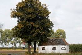 Uit de praktijk: kapelletjes in Vlaanderen